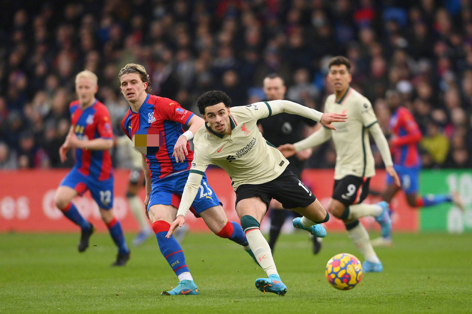 在初期备受 在初期备受