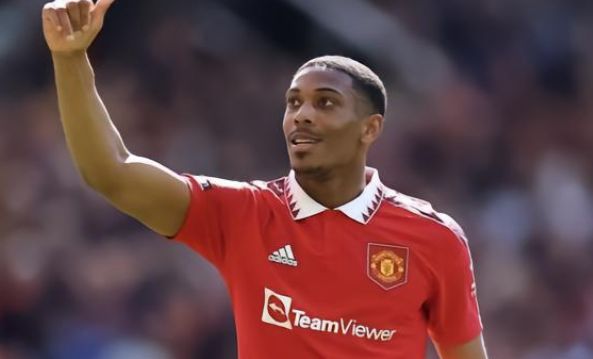 汰比利时 汰比利时